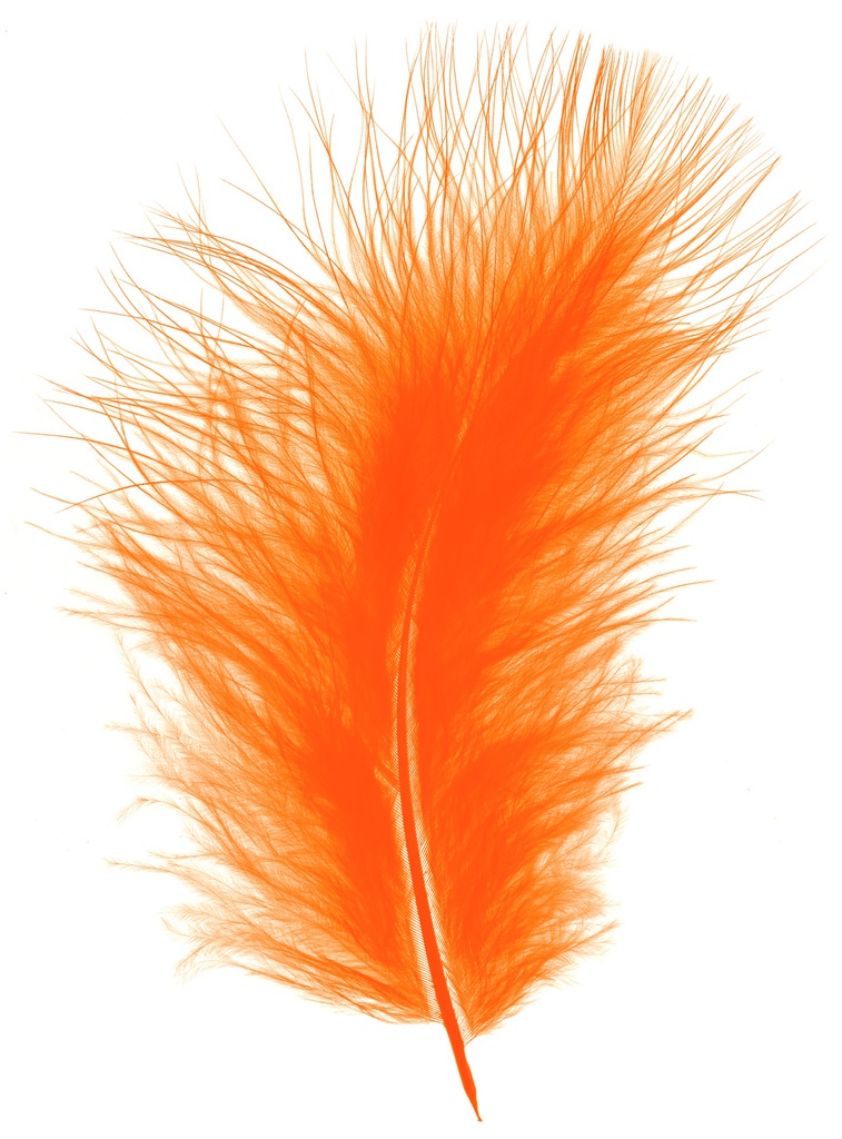 Plumes Duveteux 20gr, Orange