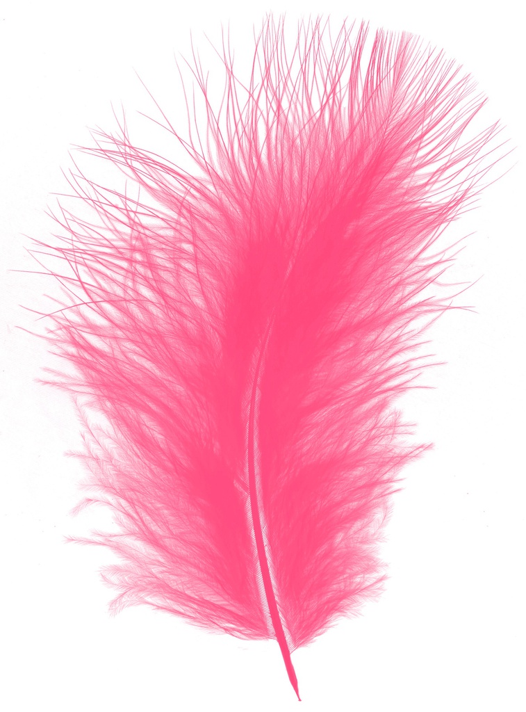 Plumes Duveteux 20gr, Rose Vif