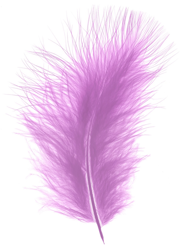 Plumes Duveteux 20gr, Lilas