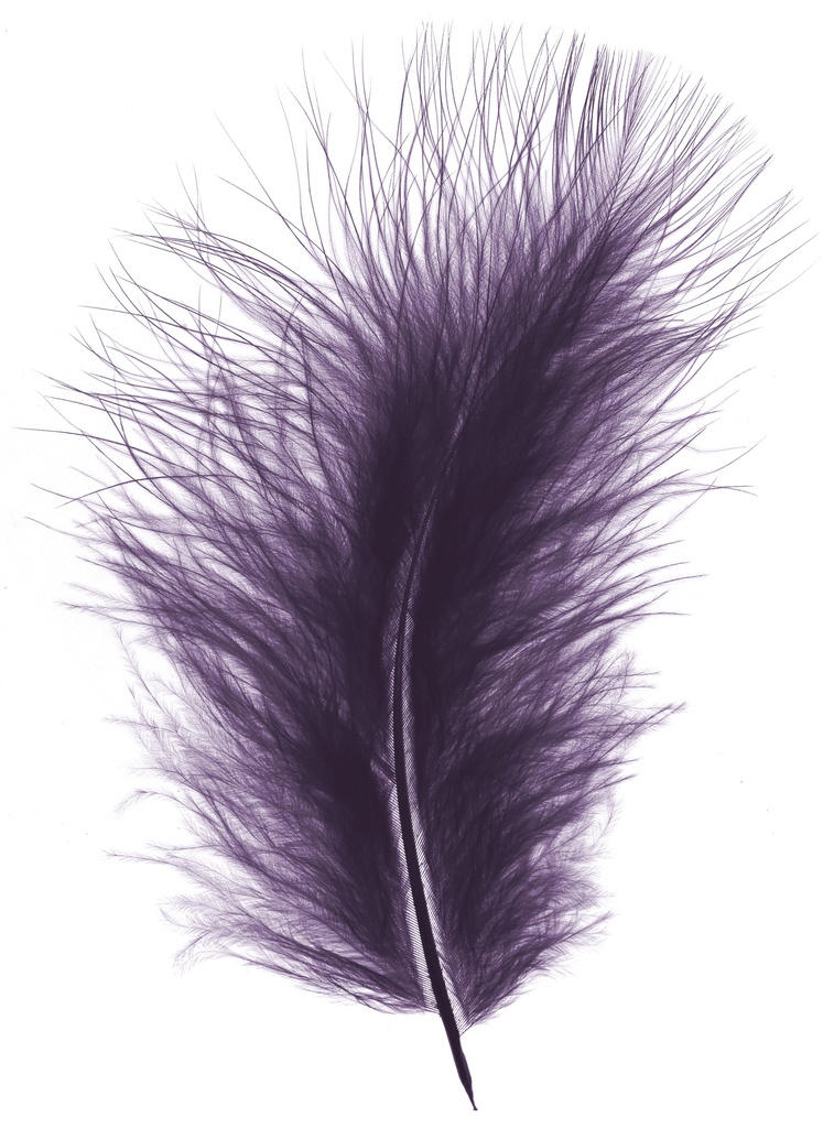 Plumes Duveteux 20gr, Mauve