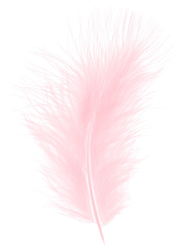 Plumes Duveteux 20gr, Rose Bébé