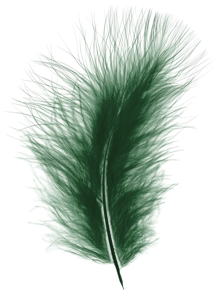 Plumes Duveteux 20gr, Vert