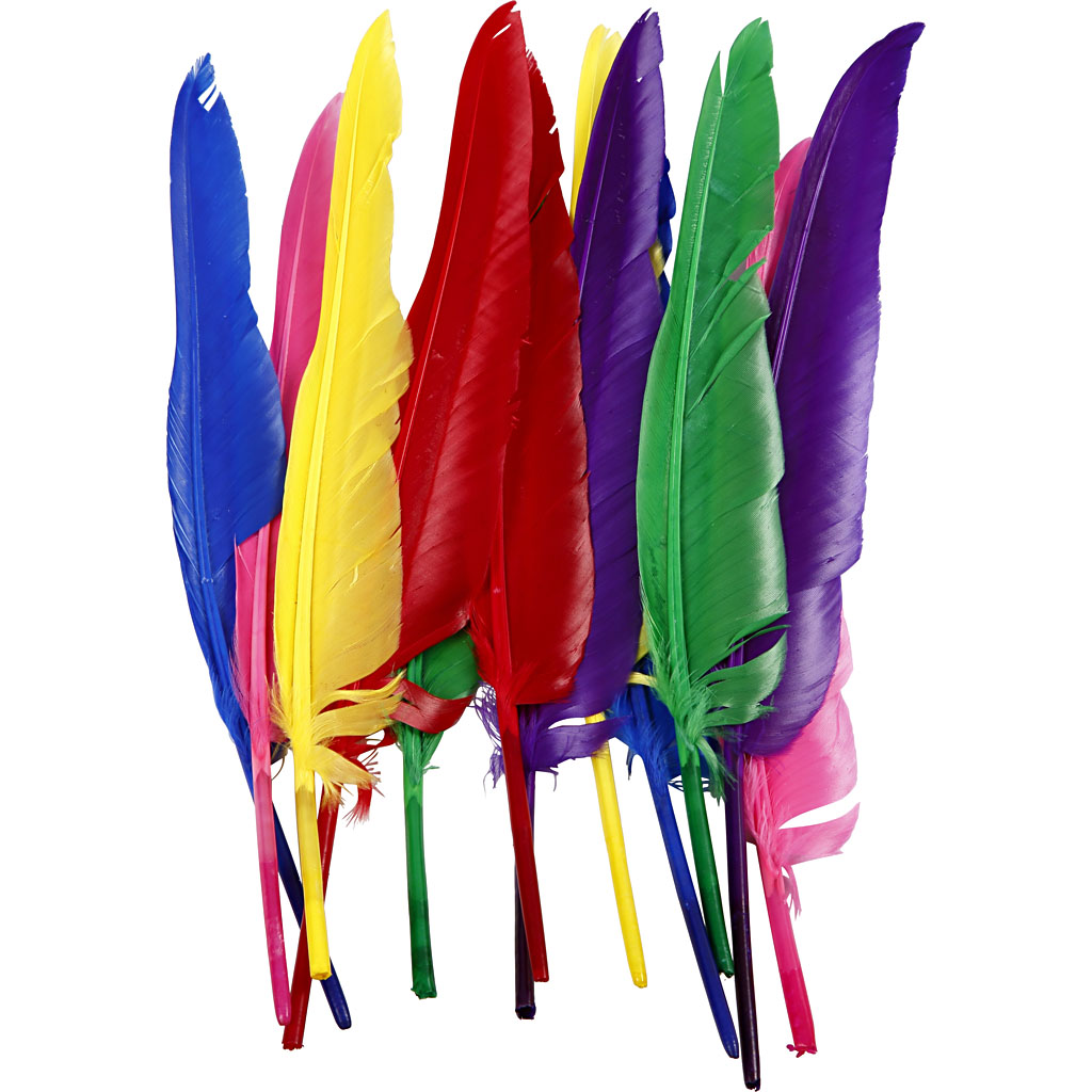 Veren, diverse kleuren, L: 27 cm, 12 stuks