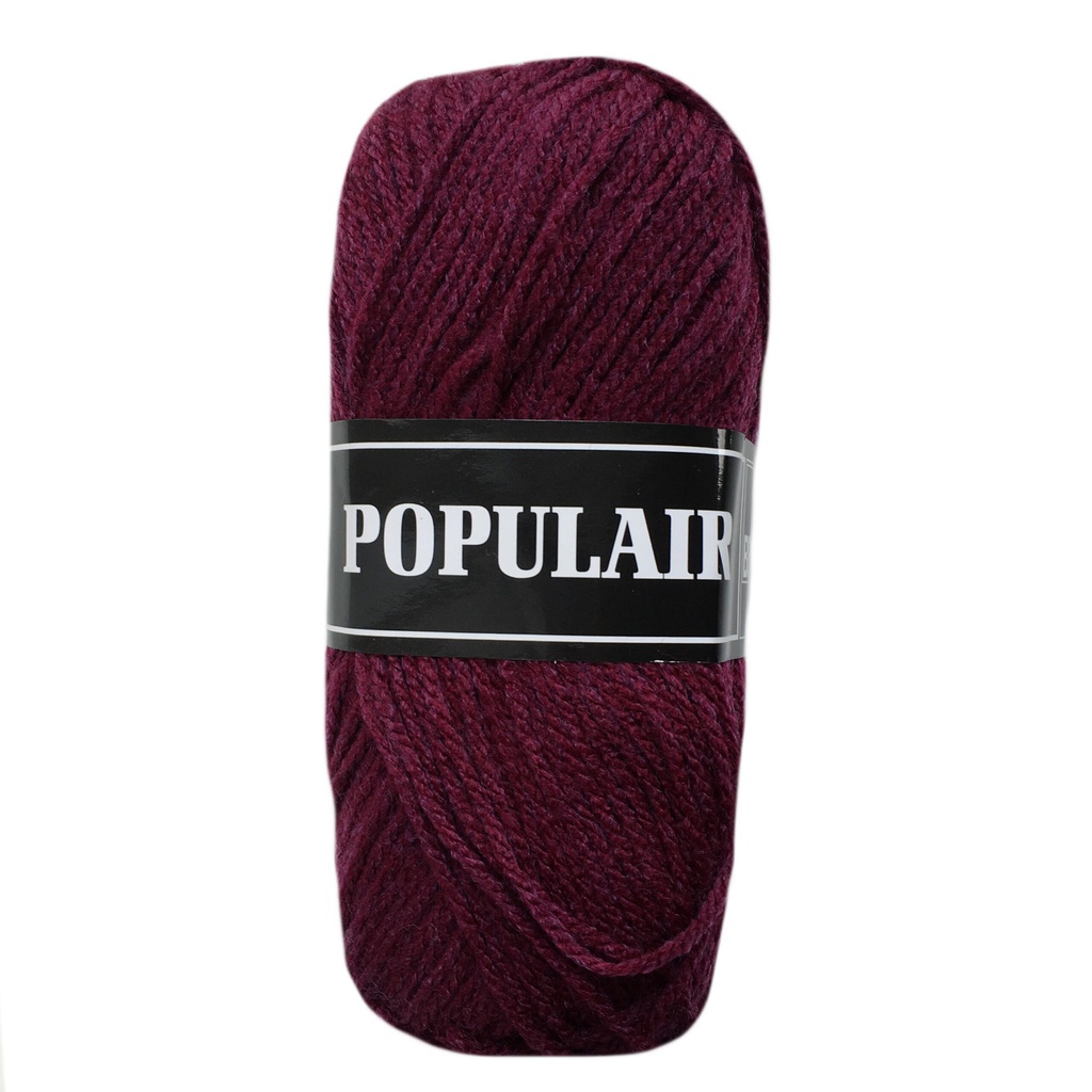 Acrylwol Populair 20 x 50gr. aubergine (58)