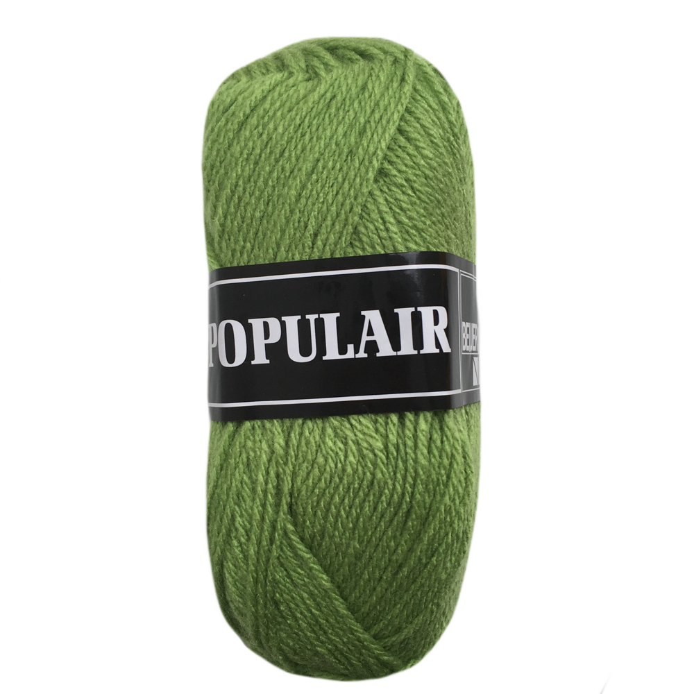 Laine acrylique Populair 20 x 50gr. vert herbe (82)