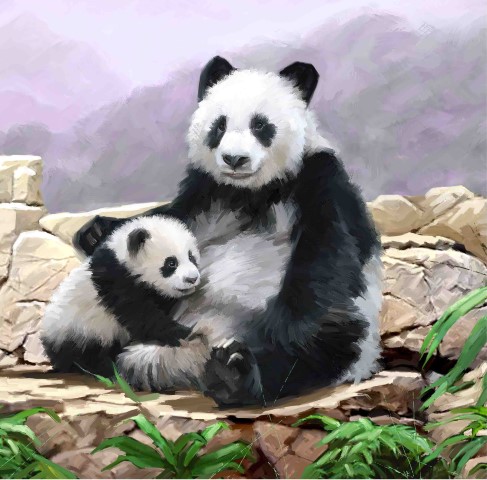 Crystal Card Kit ® Diamond Painting 18x18cm, Panda 