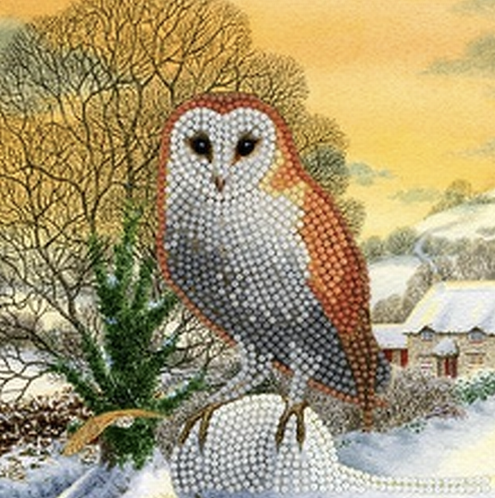 Crystal Card Kit ® Diamond Painting 18x18cm, Winter Owl 