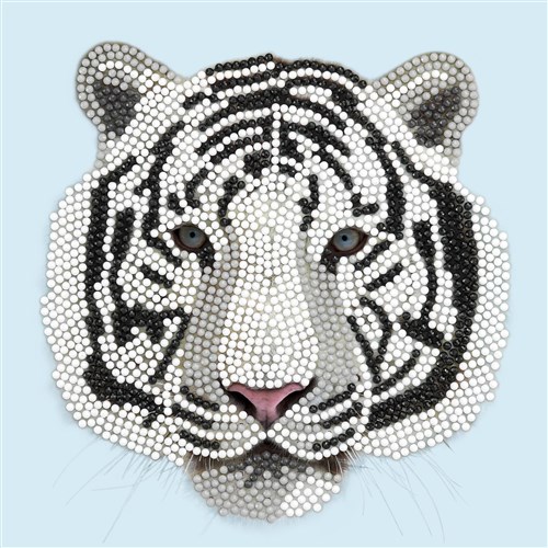 Crystal Card Kit ® Diamond Painting 18x18cm, Tiger