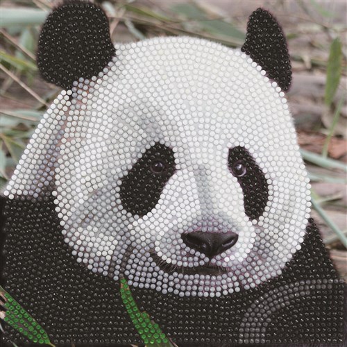 Crystal Card Kit ® Diamond Painting 18x18cm, Panda 