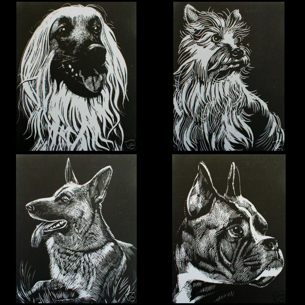 Scrapy graveerset, 4 x A5, Honden