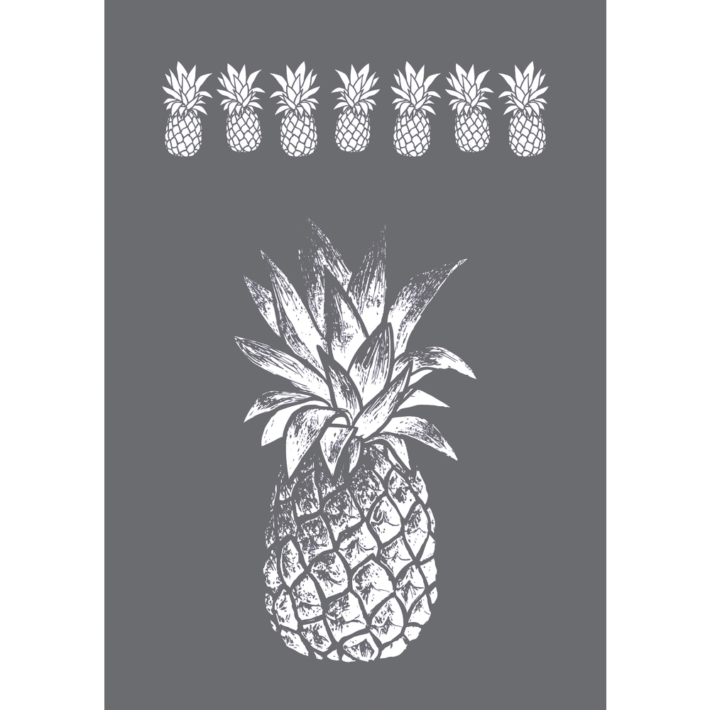 Pochoir de sérigraphie Ananas, DIN A4, 1pochoir+1spatule en sct.