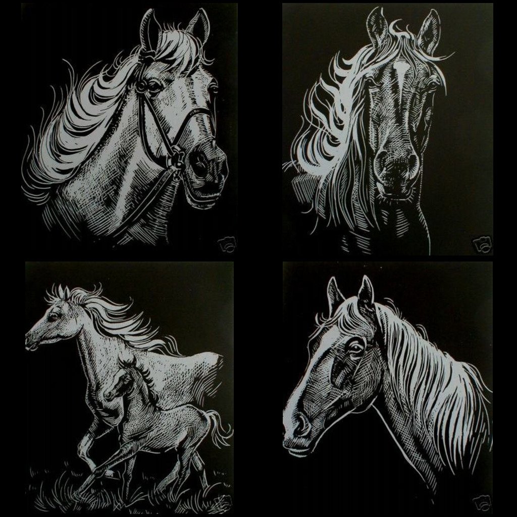 Scrapy graveerset, 4 x A4, inclusief pen, Paarden