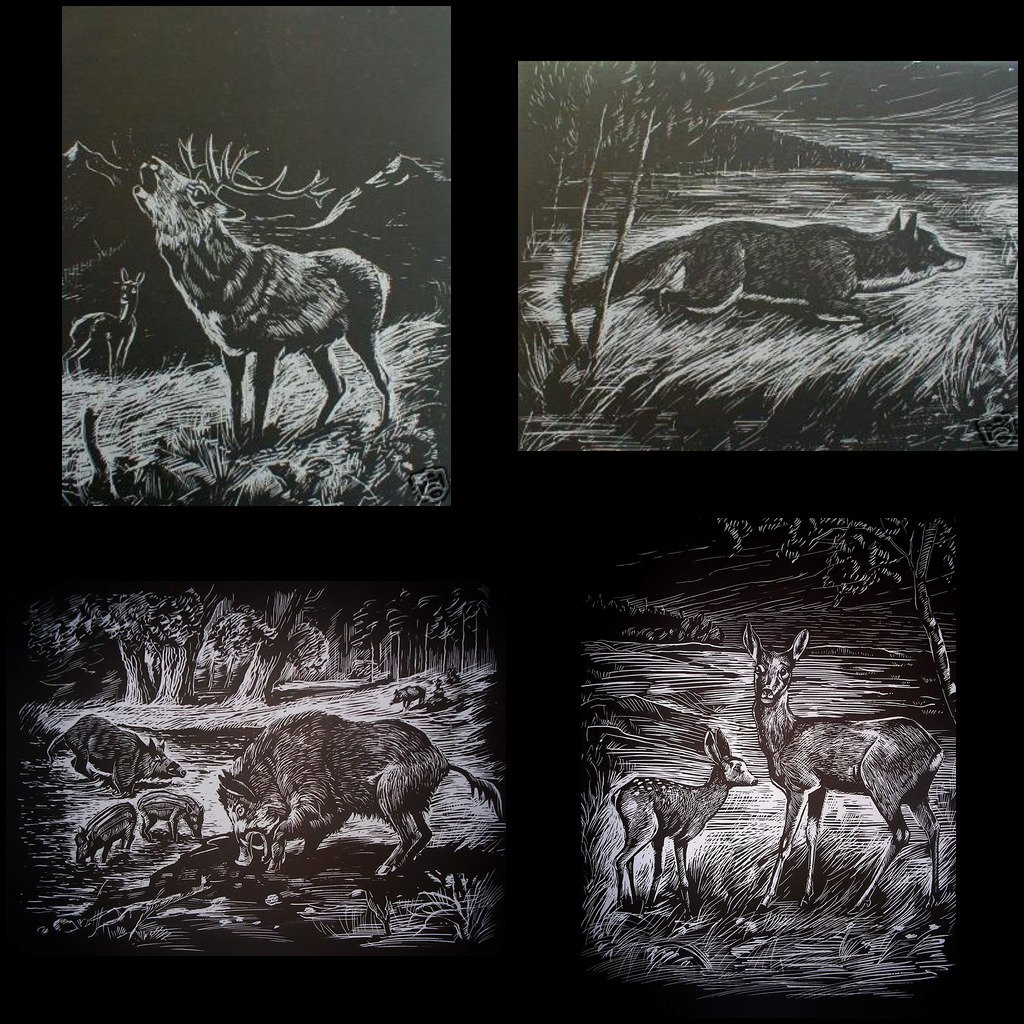 Scrapy graveerset, 4 x A4, inclusief pen, Wilde Dieren