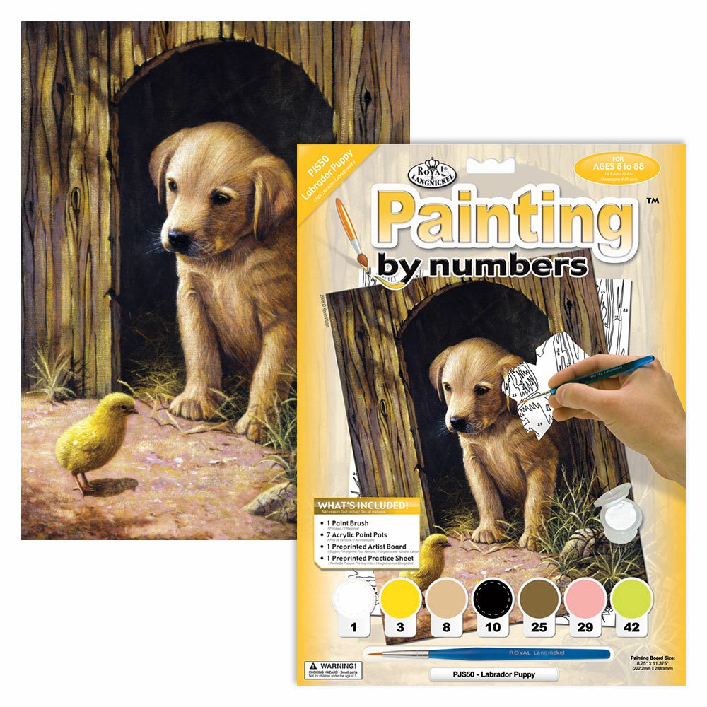 Painting by Numbers 225x305mm, Labrador Puppy