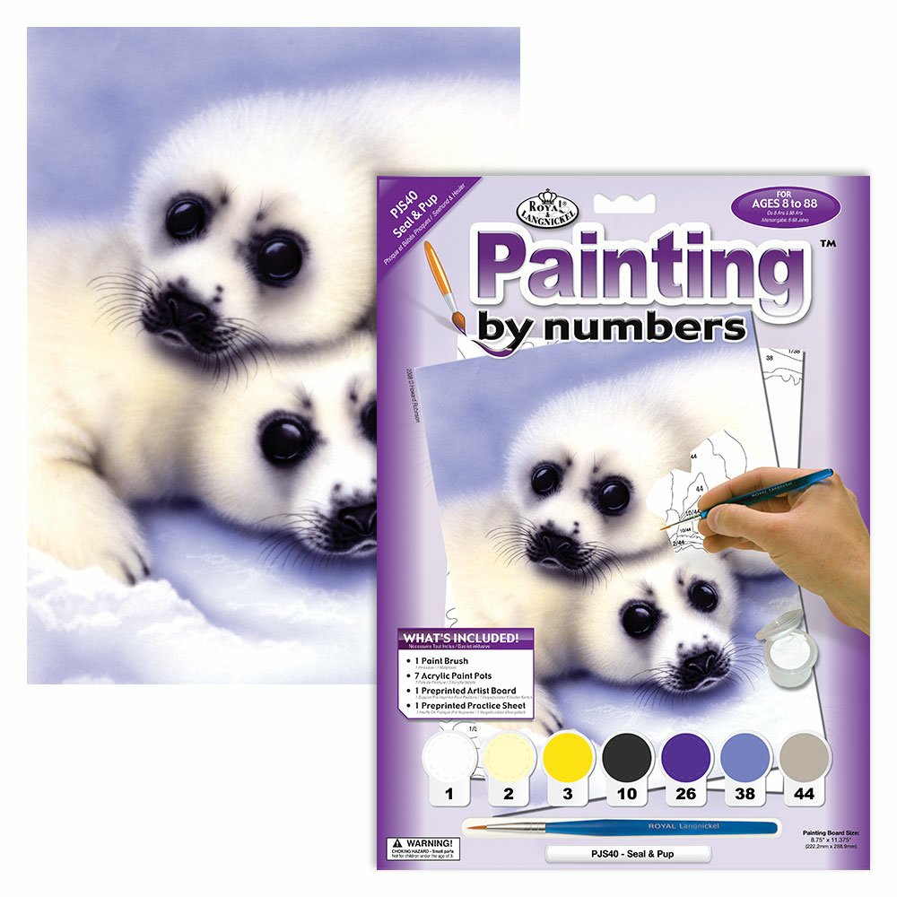 Painting by Numbers 225x305mm, Seal & Pups