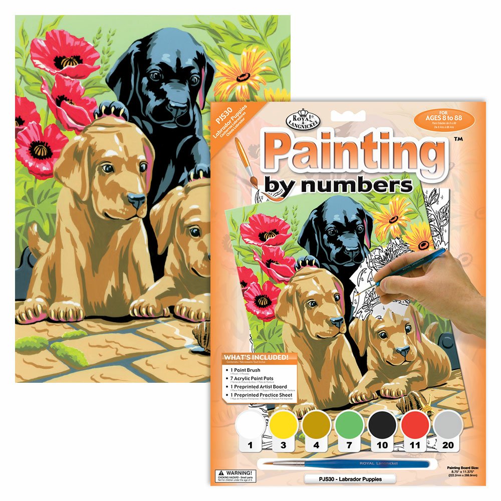 Painting by Numbers 225x305mm, Labrador Puppies