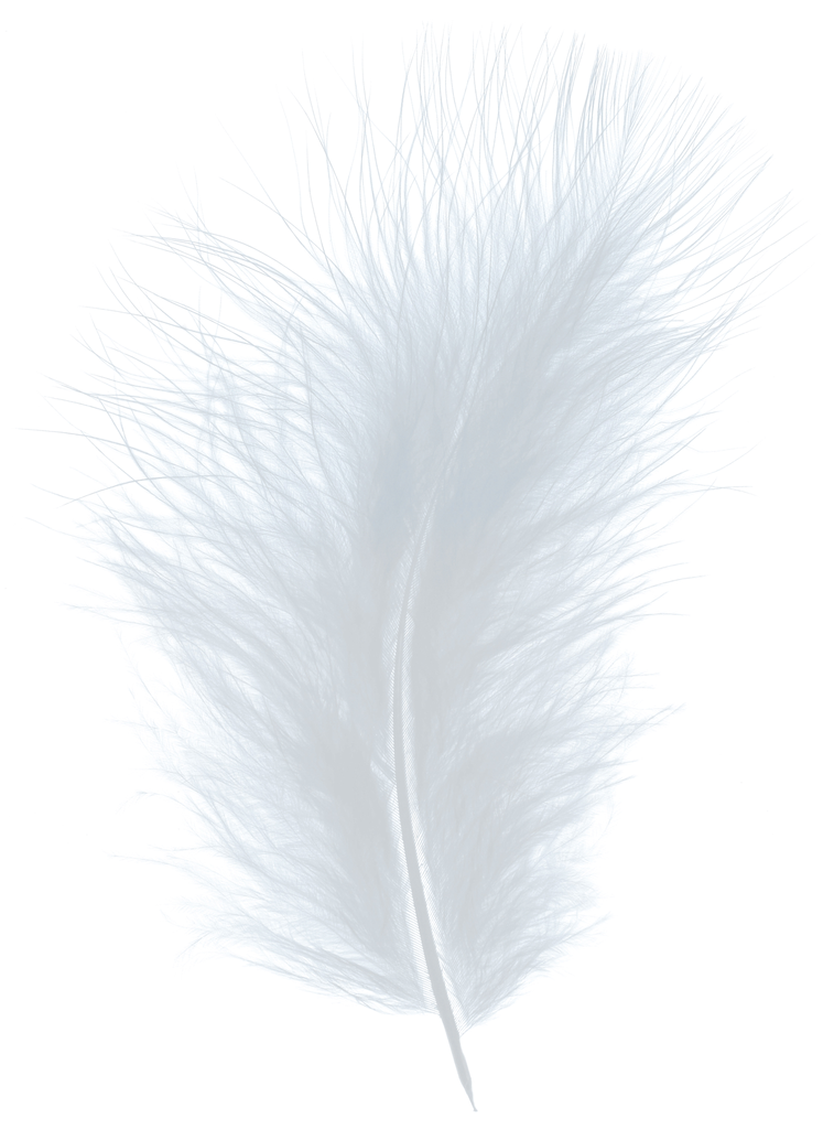 Plumes Duveteux 20gr, Gris