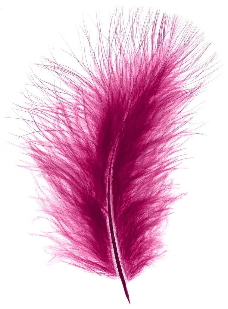 Plumes Duveteux 20gr, Fuchsia/Rouge