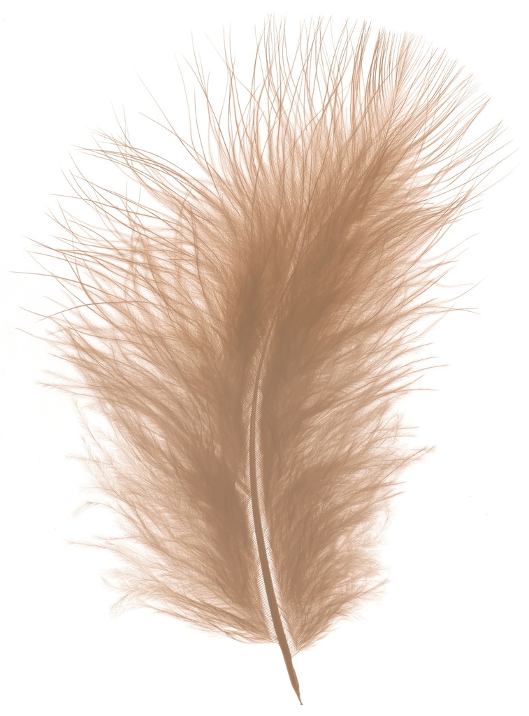 Plumes Duveteux 20gr, Beige