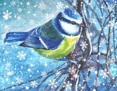 Crystal Card Kit ® Diamond Painting 18x18cm, Festive Bird 