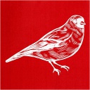 Screen stencil Vogel, vel 20x22 cm