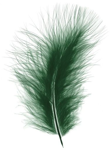 [2533#7] Plumes Duveteux 20gr, Vert