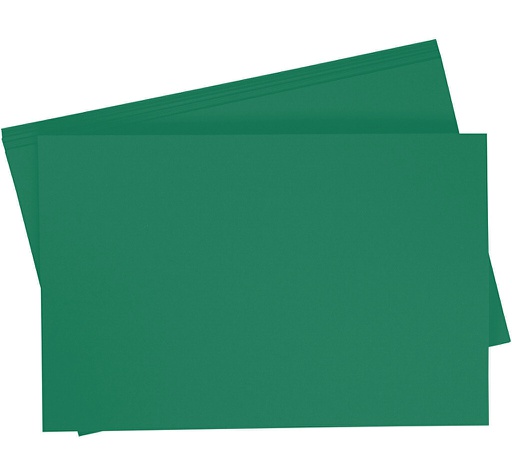 [0657#58] Getint papier 130g/m², 50x70cm, 10 vellen, dennengroen