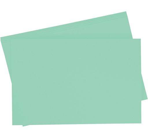 [0657#25] Getint papier 130g/m², 50x70cm, 10 vellen, mint