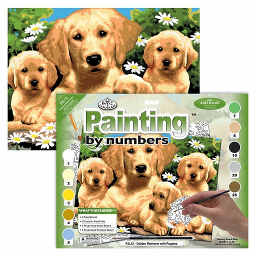 [RB-PJL#12] Painting by Numbers 286x390mm, Labrador