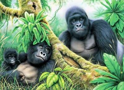 [RB-PJL#46] Painting by Numbers 286x390mm, Mountain Gorillas