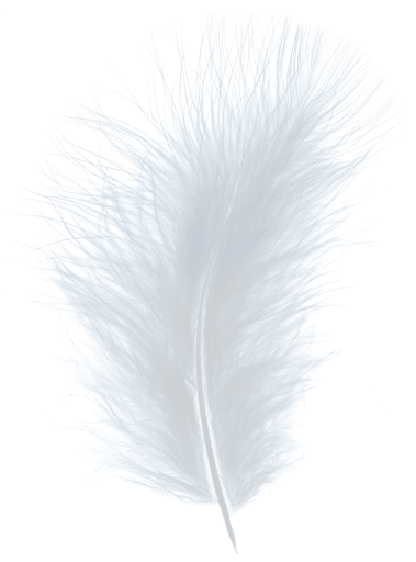 [2533#3] Plumes Duveteux 20gr, Gris