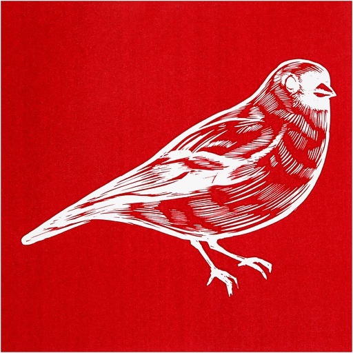 [CR27054] Screen stencil Vogel, vel 20x22 cm